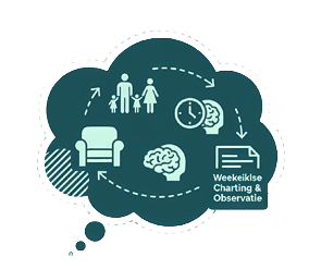 Breng uw Leefpatronen in Kaart