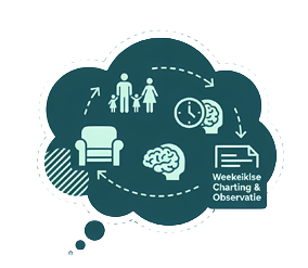 Breng uw Leefpatronen in Kaart
